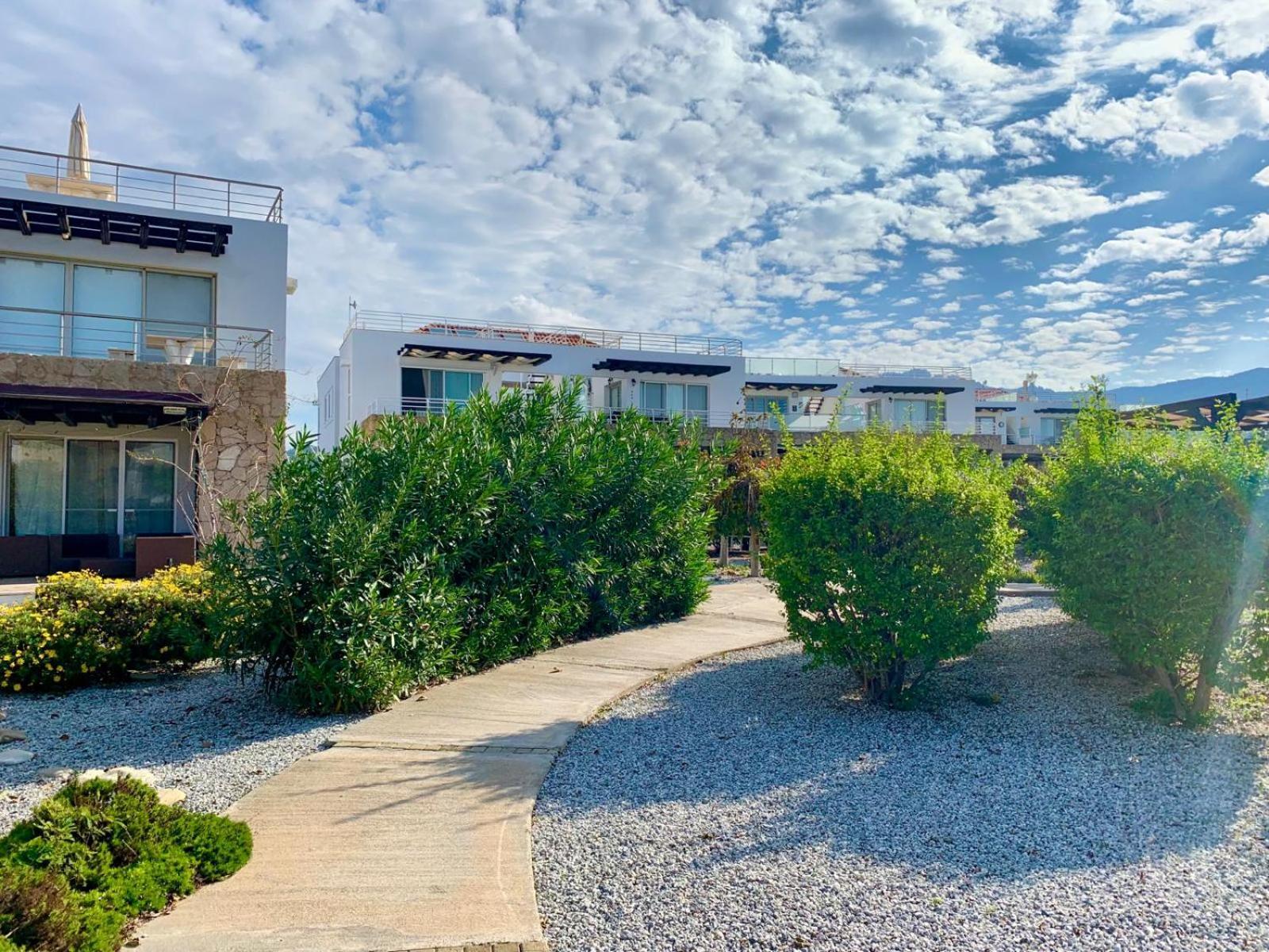 Boho Bay Apartment Akanthou Exterior photo