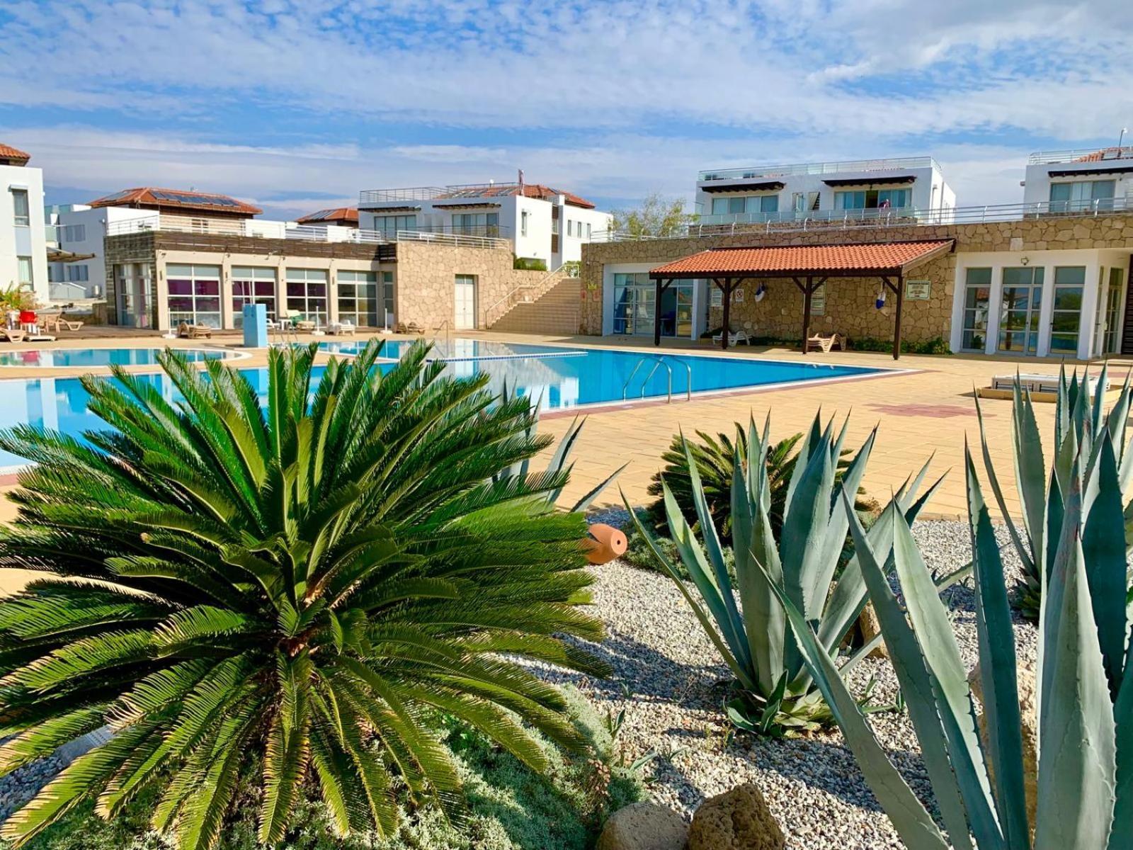 Boho Bay Apartment Akanthou Exterior photo