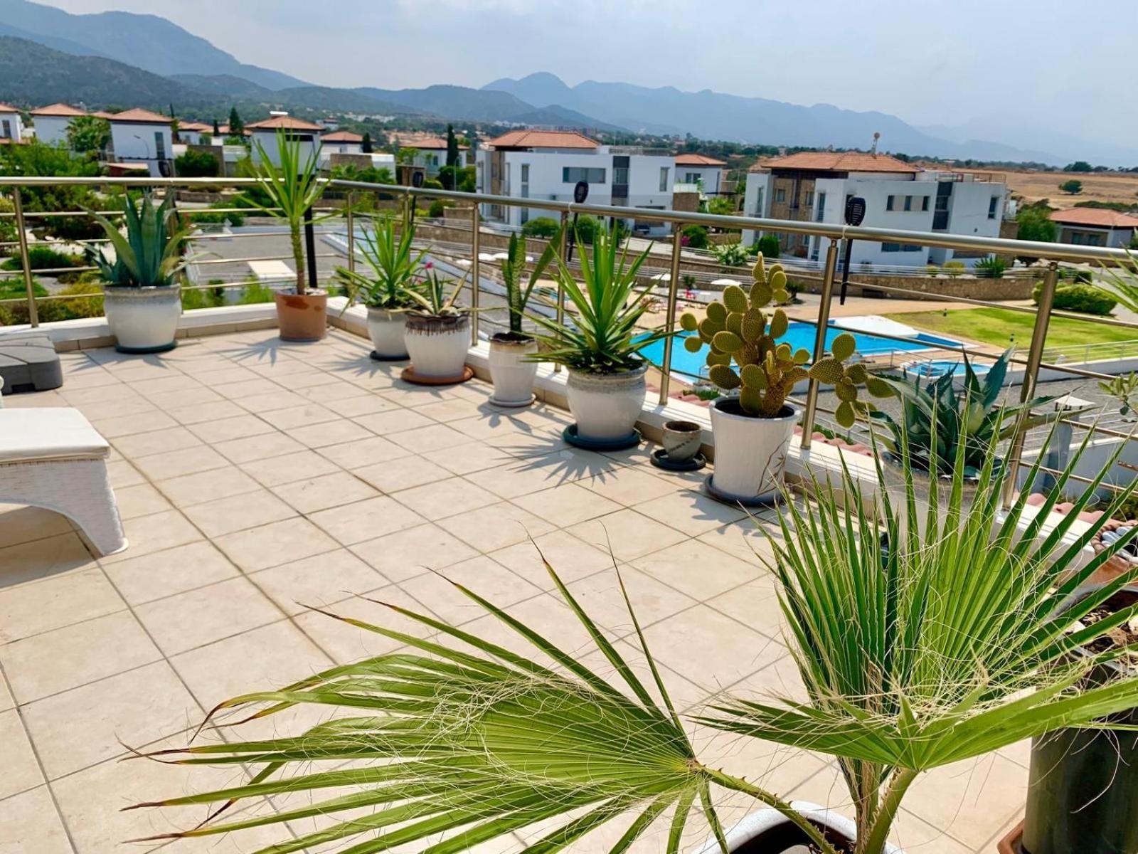 Boho Bay Apartment Akanthou Exterior photo