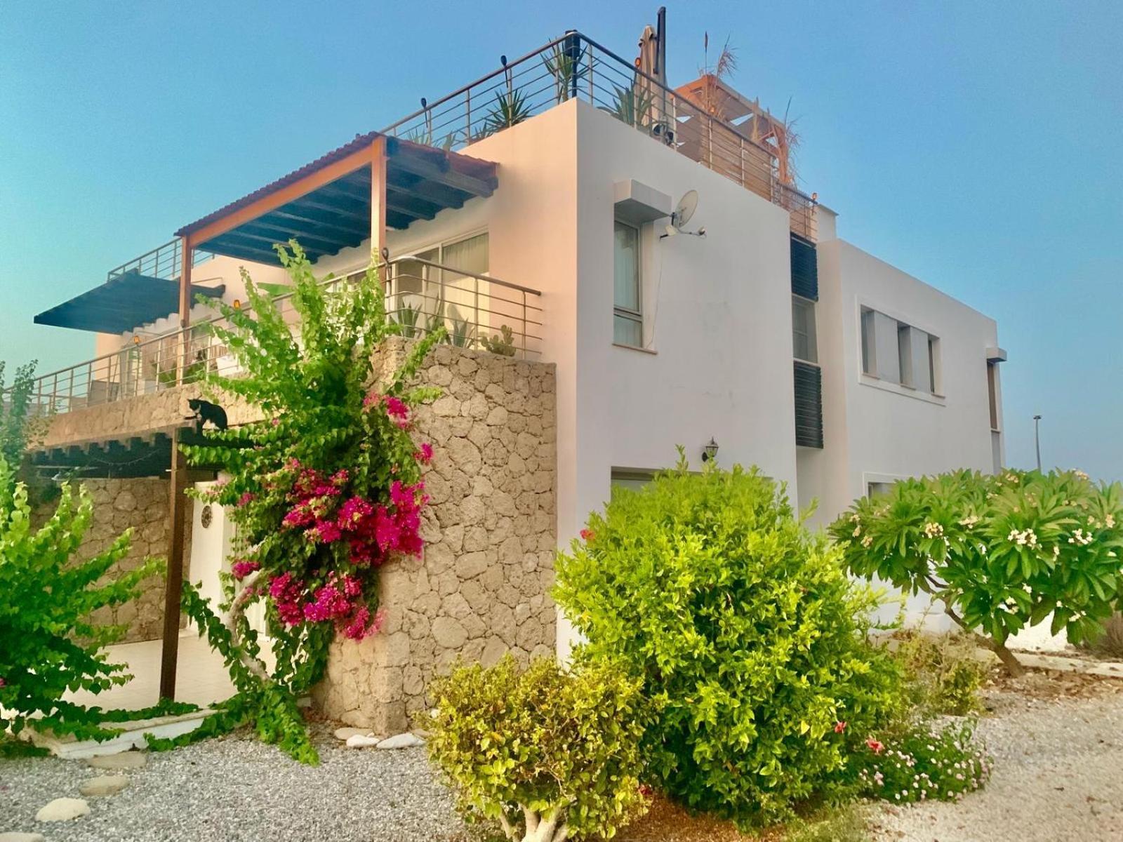 Boho Bay Apartment Akanthou Exterior photo